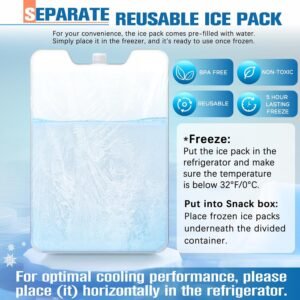 Chilled Portable Snackle Box Container with Reusable Ice Pack Bonus Insulated Bag 2Dip Container Divided Serving Tray Beach Essentials for Charcuterie Road Trip Picnic Family Party (Lime Green)