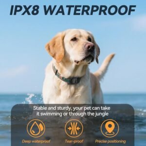 for Airtag Dog Collar,Waterproof Dog Collar Holder Compatible with Apple Airtags,for Dogs and Cat Collars Pets Air tag Holder (Black)