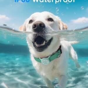 IP68 Waterpoof Dog Airtag Holder, Stretchy Silicone Full Body Covered Apple Air Tag Holder for Dog Cat Collar Fit All Width Collar (Black/Green/Blue/Pink, 4 Pack)